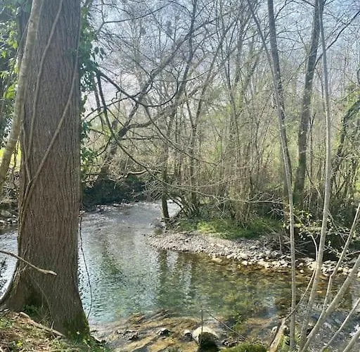 Maison De Au Coeur Des Pyrenees * Eysus